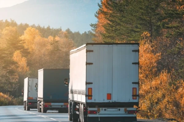 Adana Kalkandere Nakliyat
